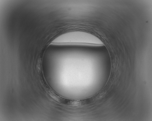 X0000072500325200607140943