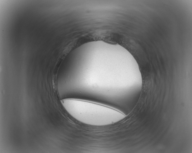 X0000072500335200607140942