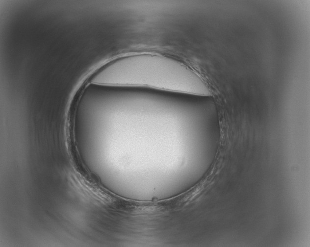 X0000072500342200607140942