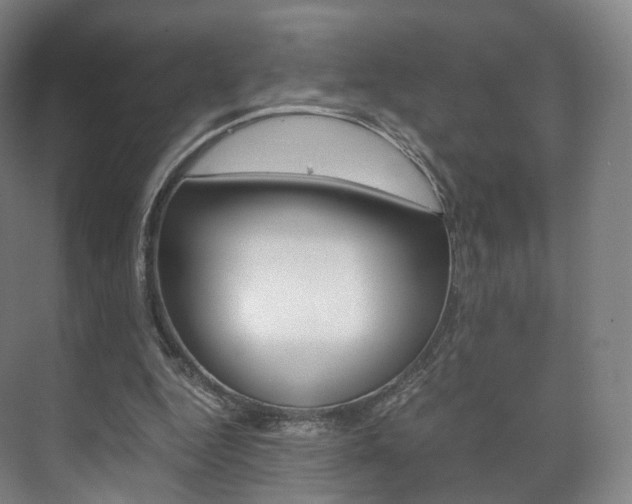 X0000072500344200607140942