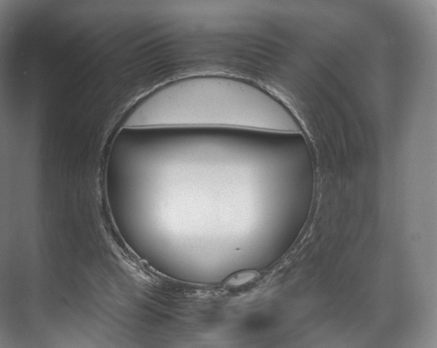 X0000072500345200607140942
