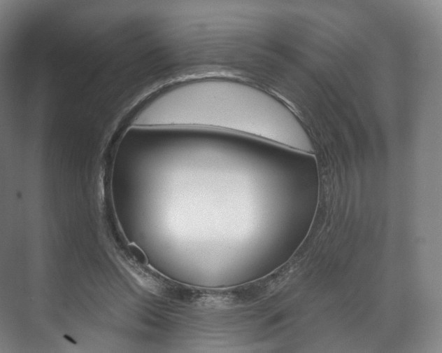 X0000072500350200607140942