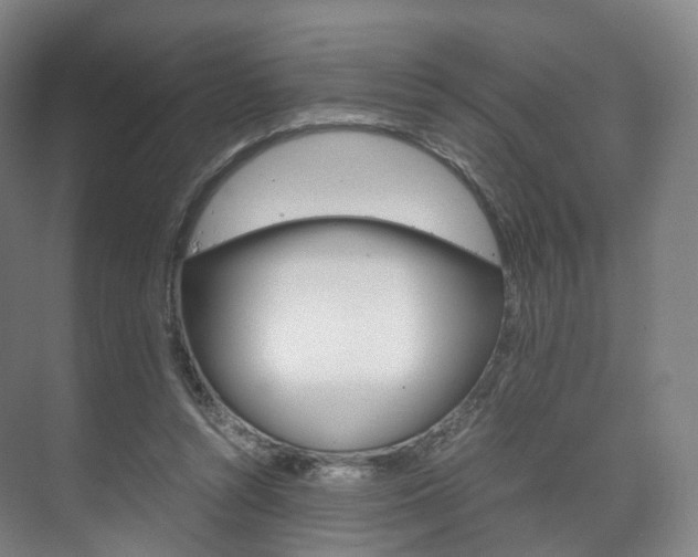 X0000072500352200607140942