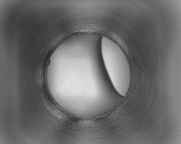 X0000072500354200607140942