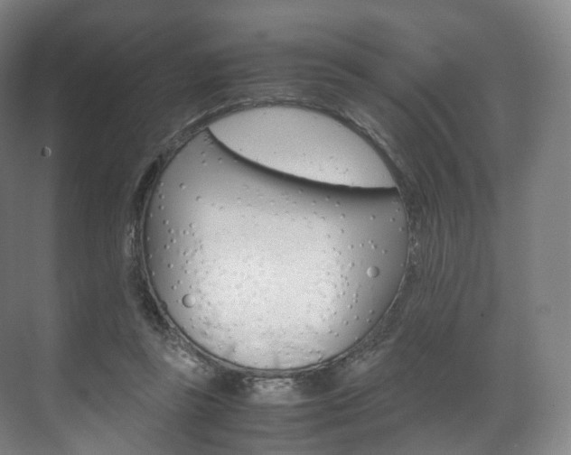 X0000072500355200607140942