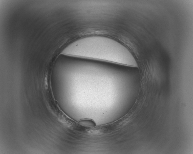 X0000072500358200607140942