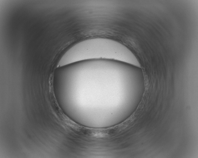 X0000072500360200607140942