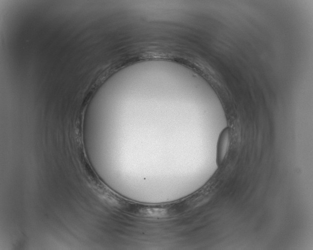 X0000072500361200607140942