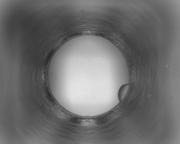 X0000072500363200607140942