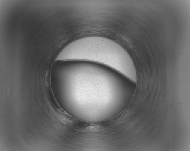 X0000072500364200607140942