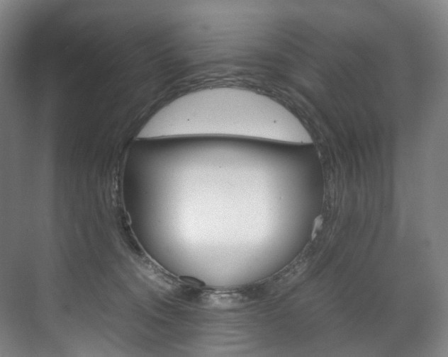 X0000072500372200607140942