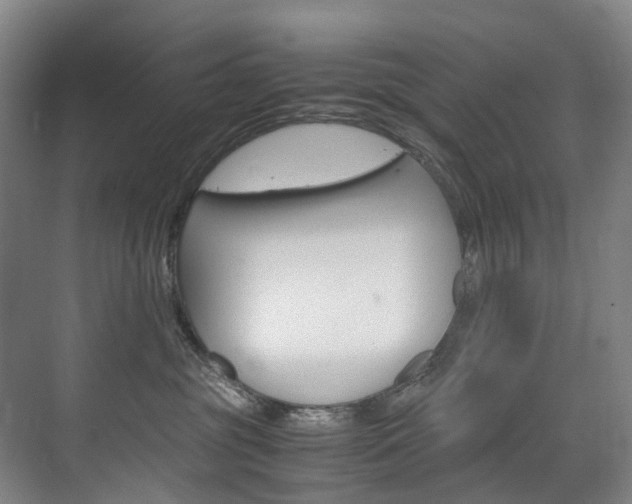 X0000072500381200607140942