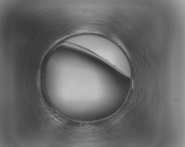 X0000072500387200607140942