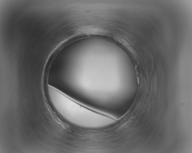 X0000072500391200607140942