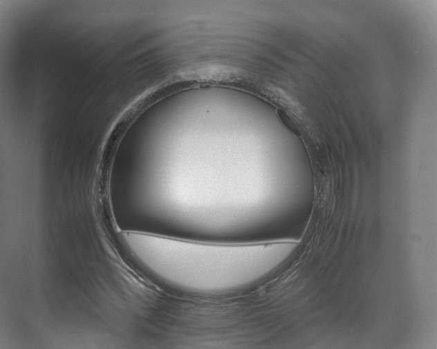 X0000072500392200607140942