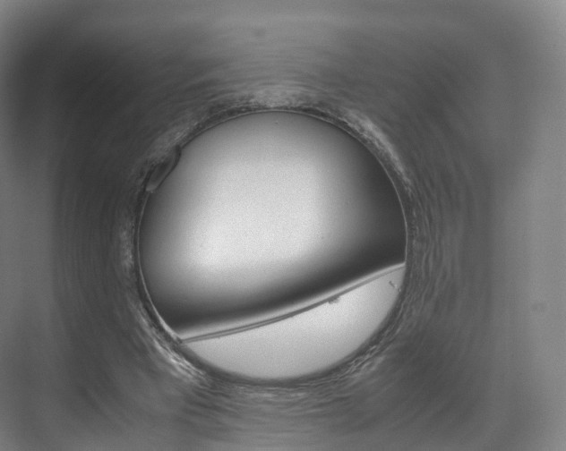 X0000072500393200607140941