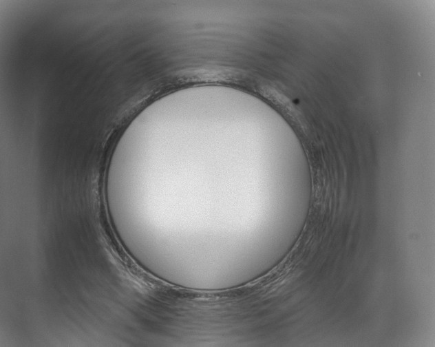 X0000072500394200607140941