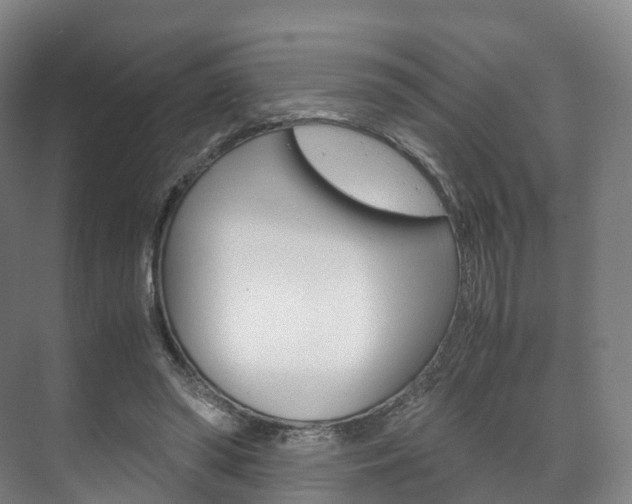 X0000072500398200607140941