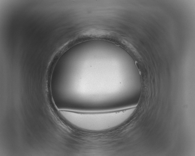 X0000072500399200607140941