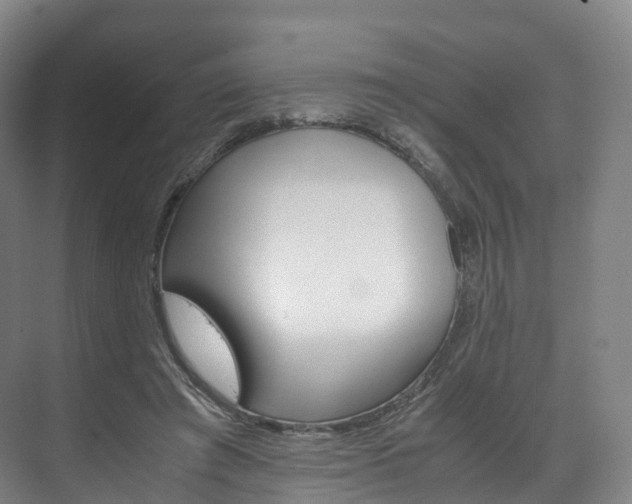 X0000072500401200607140941