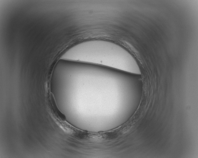 X0000072500405200607140941