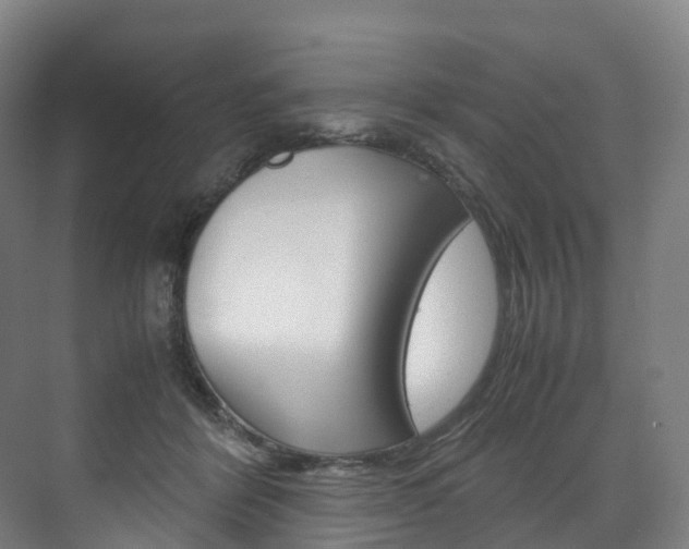 X0000072500412200607140941