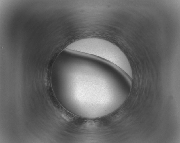 X0000072500416200607140941
