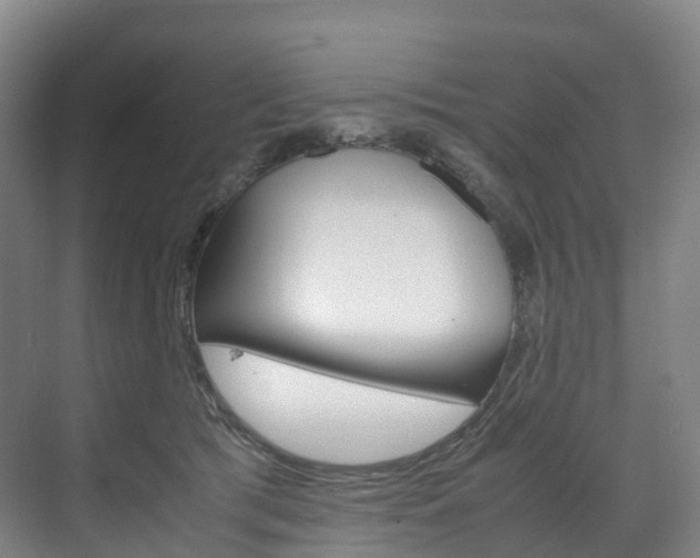 X0000072500417200607140941