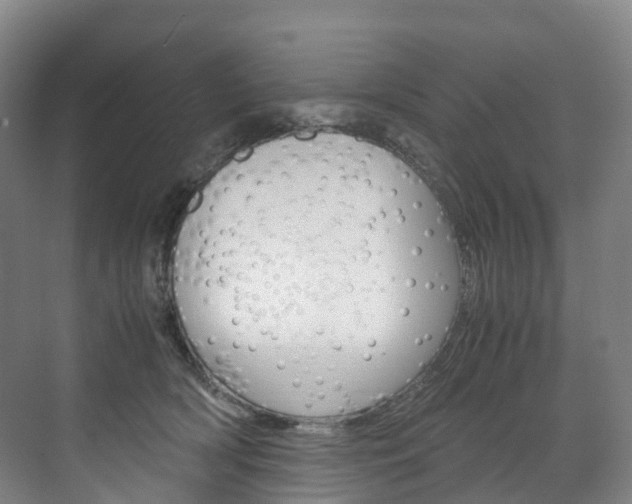 X0000072500418200607140941