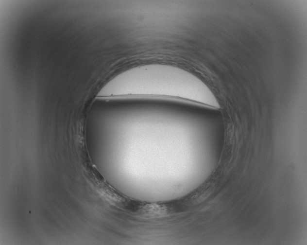 X0000072500421200607140941