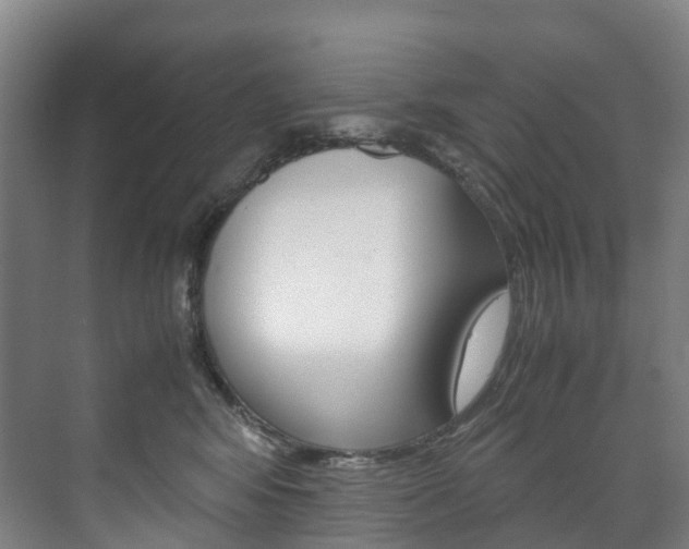 X0000072500424200607140941