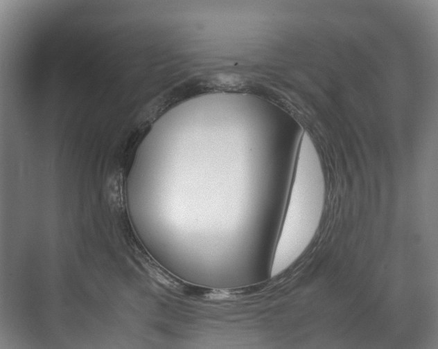 X0000072500425200607140941