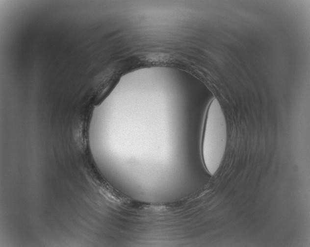 X0000072500428200607140941
