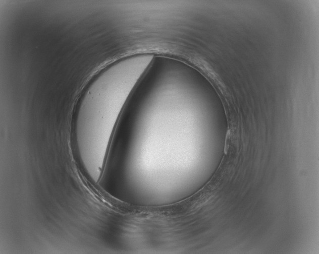 X0000072500434200607140940