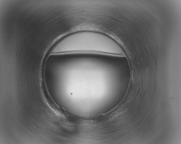X0000072500438200607140940