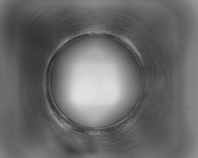 X0000072500439200607140940