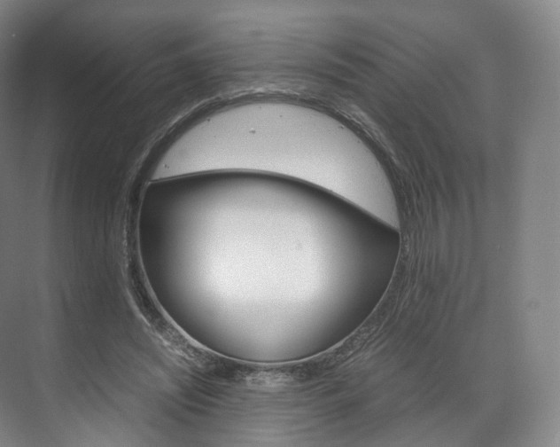 X0000072500444200607140940