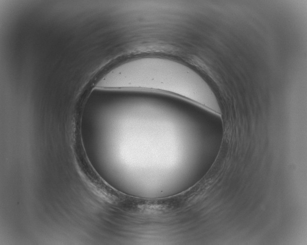 X0000072500448200607140940