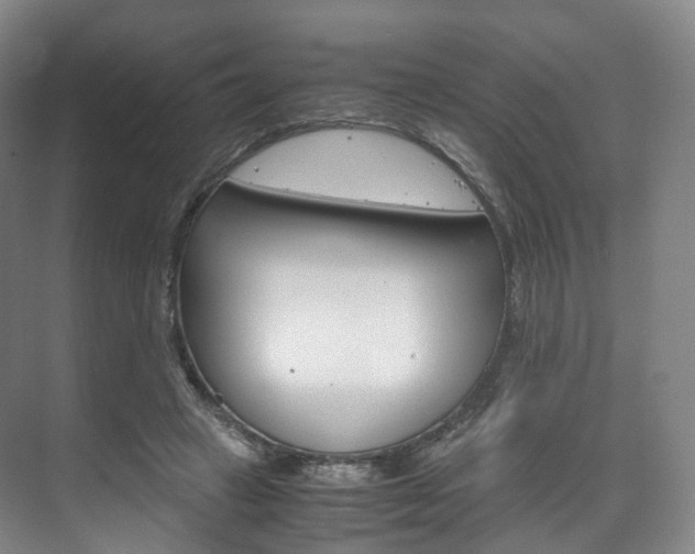 X0000072500449200607140940