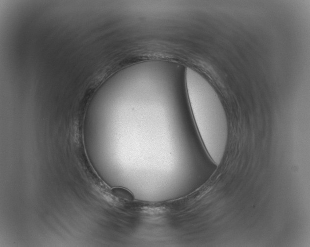 X0000072500457200607140940