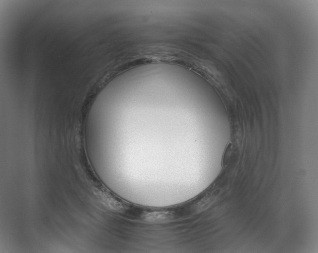 X0000072500461200607140941