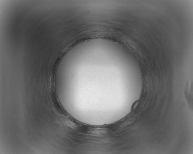 X0000072500463200607140941