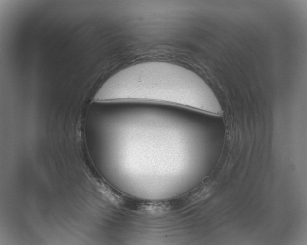 X0000072500466200607140941