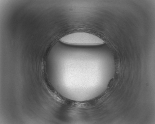 X0000072500472200607140941