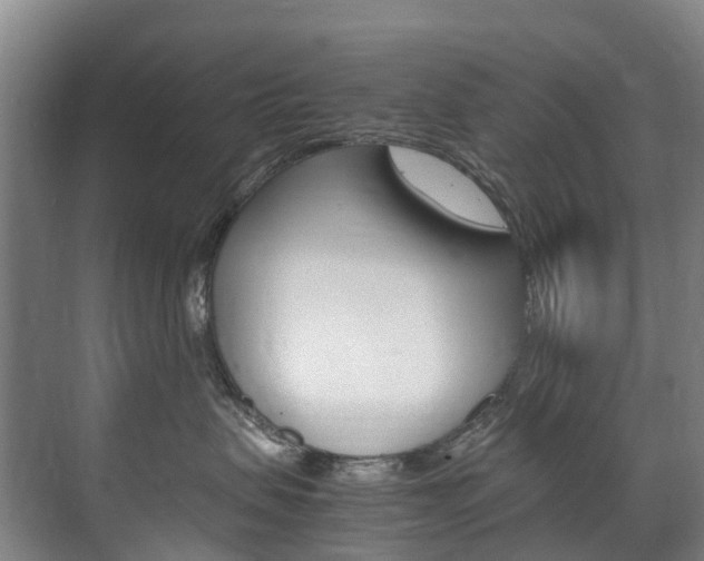X0000072500479200607140941