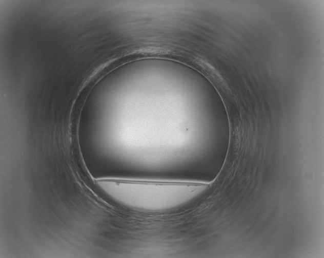 X0000072500484200607140940