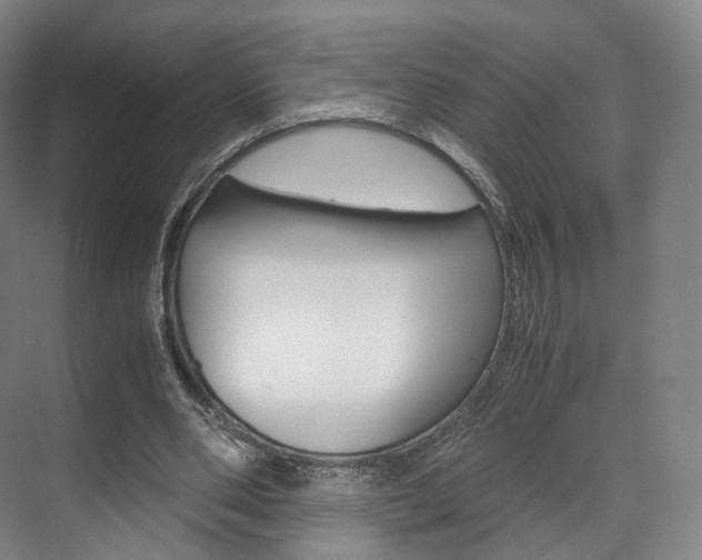 X0000072500486200607140940