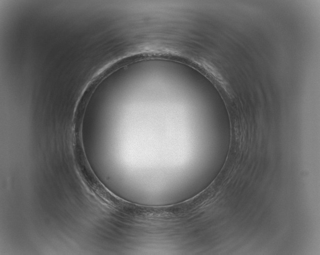 X0000072500488200607140940