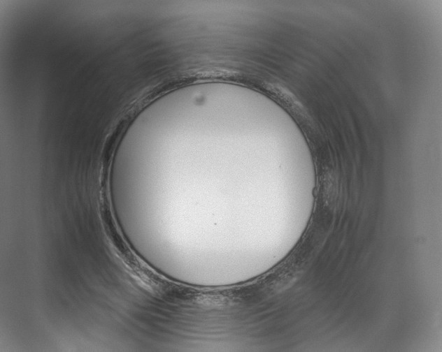 X0000072500490200607140940