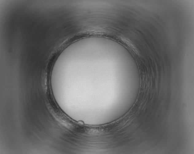 X0000072500494200607140940